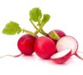80+ Round Red Radish (Laal Moli) Vegetable seed for kitchen gardening. 