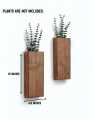 Lifestyle Glory Brand Modern Wooden Wall Planter Holders Set I Planters I Planters I Planter With Stand I Wall Decoration Items I Planter I Wall Décor I Decorating Items I Home Décor I Home Decorations Items I Office Decoration I Office Décor. 