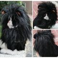Black Lion Mane Cat Wig Pet Small Dog Cats Costume Lion Mane Wig Cap Hat For Cat Dogs Fancy Costume Cosplay Toy Pet Supplies. 