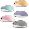 CHUYI 2.4G Wireless Optical Mouse Cute Hamster Cartoon Design Computer Mice Ergonomic Mini 3D Gaming Office Mouse Kid's Gift. 