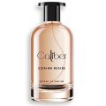 Elysian Desire-fashion, luxury and style core aspect for men (Spray Perfume 30 ml,50ml,100ml) for men - Caliber Pakistan. 