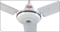 Wahid Ceiling Fan Saad Model 56 Inches 99.99% copper wire Rustproof Strong Body Brand Warranty. 
