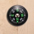 Oil Filled Button Compass - Ultra Compact 20mm - Mini SAS Survival Bushcraft - Black. 