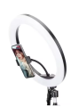 26cm Ring Light with 7ft Aluminium Tripod Stand & Mobile Holder | 3 Light Modes (White, Warm, Soft) | Adjustable Brightness | For TikTok, YouTube & Photography. 