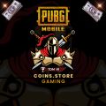 PUBG Mobile 325 UC Pakistan Region. 
