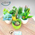 Wishly Small Succulent Artificial Plants in Pots Set of 2 Pcs, Assorted Mini Faux Aesthetic Cactus potted Succulents arrangements for Home, Office, Bedroom, Washroom & Living Room, Outdoor & Indoor Decor.. 