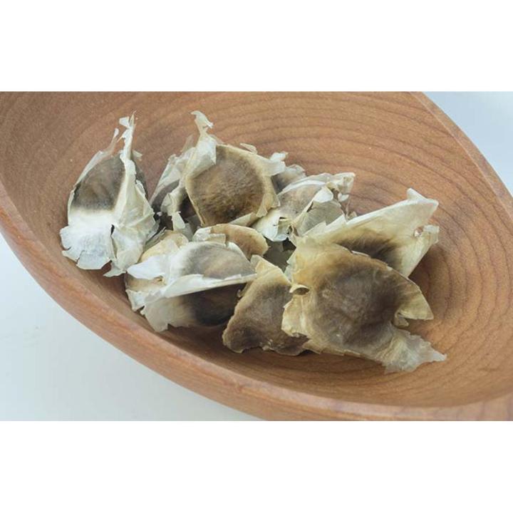 Pack of 10 Moringa Seeds 100 percent germinate Sohanjna Tree Plant Flower