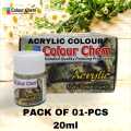 1Pcs Color Chem Acrylic Fabric Colours Paints: Matt Finish Paints Available in All Shades Choose Your Desired Colors. 
