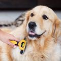 DakPets Pet Grooming Brush Effectively Reduces Shedding by up to 95% Professional Deshedding Tool for Dogs and Cats. 