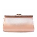 WalkEaze Stylish Party Clutch For Women and Girls - designcode: 04893b. 