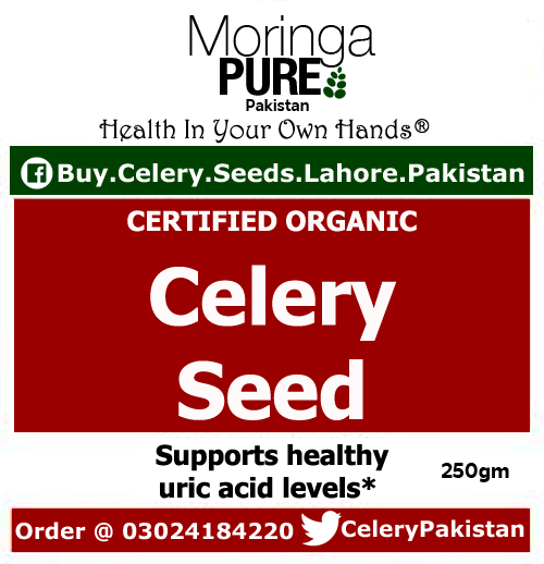 Celery Seeds Pakistan  250 GM