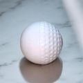 Cricket Swing Ball Synthetic (156 Garam). 