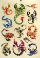 pack of 12 Temporary Tattoos For kids. 