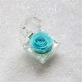 Ring Holder All Match Micro Landscape Forever Rose Ring Box. 