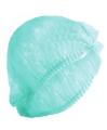 Disposable Hair Net Cap for Chef Pack of 100 Pcs , 3 Colour Available Blue/Green/White. 