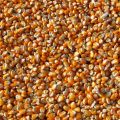 PREMIUM QUALITY POP CORN KERNALS , POP CORN , POPCORN SEEDS , MAKAI DANA 1KG. 