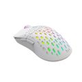 XTRIKE ME GM209W RGB Gaming Mouse 8000 DPI Wired Optical Mouse Lightweight Honeycomb Design Ambidextrous Gaming Mouse White for PC Laptop. 