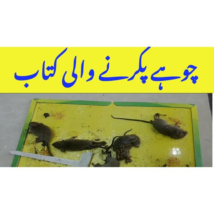 2 Pcs Reusable Expert Catch Mouse Rat Glue Catch Trap Sticky Board Foldable Book