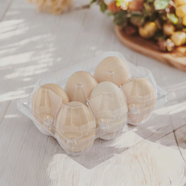 50 Pack Eco-Friendly 6-Cell Egg Cartons Clear Plastic Bulk Crates for Market or Storage
