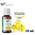 Ylang Ylang Aromatherapy Essential Oil - Best for Removal of Scars - Pure & Natural | Undiluted (10ml). 