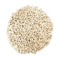 Khurtum - A healthy & natural birds seeds Good for Sun conure, eclectus grey parrot & Macaws Good for all wild parrots -5 KG. 