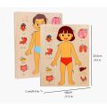 Anatomy Organ Model Multi-Layer Wooden Human Body Puzzle Activities Busy Board Boys Girls Body Structure Puzzle Montessori Early Educational Educational Anatomy Jigsaw Children Kids. 