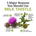 MILK THISTLE SEEDS WHOLE|1:KG. 