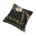 Cedric Diggory Poster Pillow Case Black Pillow Covers Decorative Pillowcases For Pillows Pillow Case Modern Pillows Decor Home. 