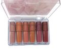 6/8 pc Professional Matt Lip Gloss. 