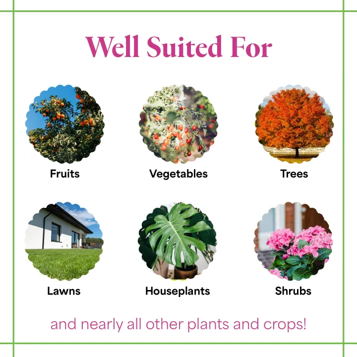 50g%20Rooting%20Hormone%20Powder%20for%20Plants%20%E2%80%93%20Rooting%20Stimulator%20for%20Cuttings%20%E2%80%93%20Fast%20Root%20Growth%20for%20Rose,%20Money%20Plant,%20Lemon,%20Bougainvillea,%20Indoor%20&%20Outdoor%20Plants%20%E2%80%93%20Moji%20Mall%20-%20Image%203