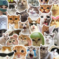 10/30/50PCS Funny Cat Meme Cartoon Stickers for Kids DIY Laptop Bike Phone Waterproof Kawaii Decoration Decals Joke Toys Gifts. 