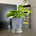 Self Watering Pots for Indoor & Outdoor Plants -Square Shape Elegant Design - Home Decor (Pack Of 1). 