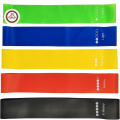 Resistance Loop Band Pack of 5 – Elastic Workout Bands for Strength Training, Weight Loss, Yoga, Pilates & Home Fitness | Beginner to Advanced | Mini Exercise Bands. 