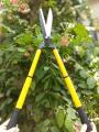 Hedge Shear - Telescopic Hedge Shears Extendable Up to 36 inches - Garden Trimmers and Pruners. 