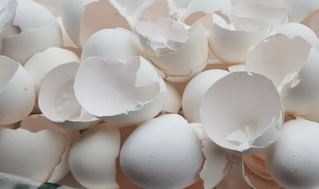 Eggshell%20Powder%20%7CEgg%20Shells%20Powder%20%7C%20100%20grams%20-%20Image%202