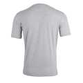 VX3 Dragons Cotton Invicta Tee Gray. 