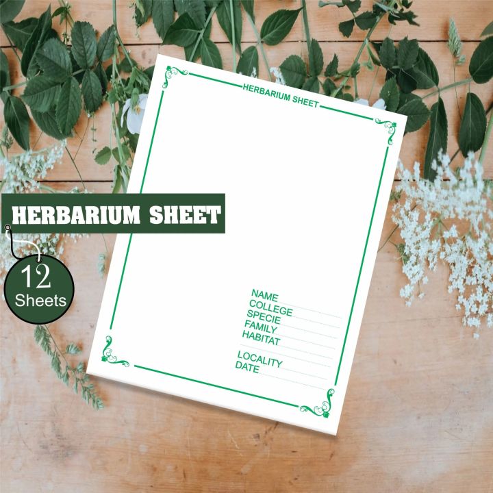 Herbarium Sheets, Herbarium File, Pack of 12 Herbarium Sheet