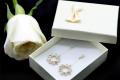CHARSLAN star, Gold color, Ear Rings, For Women, Code 0133F. 