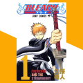 Bleach (Volume 1). 