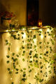 Premium Quality Bulbs and Leaves "10"Feet Fairy Light & "6"Feet Artificial Leaves Length Luminous Romantic and Aesthetic Look for Room and Party Decoration-Indoor and Outdoor- Fairy lights for room decoration Main Door Balcony-Bedroom Vine Creepers. 