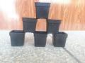 Flower Pots, 2 x 2 inch, 6 Nos Pots. 