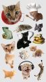 funny Memes Stickers, cute funny cat stickers, Meme stickers, dog stickers, uncut sticker sheet, humor emoji sticker. 
