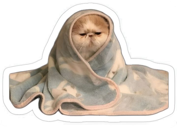 Funny%20Cat%20Meme%20Stickers%20Pack,%20Digital%20Funny%20Cat%20Memes,%20Viral%20Funny%20Cats,%20Laptop%20Stickers,%20Mobile%20Stickers,%20Decals.%20Phone%20Stickers%20-%20Image%208