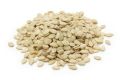 Char Magaz / Melon Seeds Great Quality 500gram. 