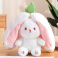 Kawaii Fruit Transfigured Bunny Plush Toy Cute Carrot Strawberry Turn Into Rabbit Plush Toy Kids Birthday Christmas Gift. 