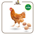 Fresh Desi Eggs. 