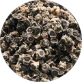 Beetroot seeds (Chukander/Chuqander k beej )(چقندر کے بیج)Hybrid/Germinated/Best Quality/Fast growing/Excellent Germination/High Quality/Healthy Vegetable Seeds/Vegetable/Home/Kitchen/Gardening seeds/beej/Vegetables Seeds Packet. 