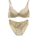 Bra Penty New Design Ladies Sexy Net Bra Sets Hot Sale Underwear Photos Underwear Set. 