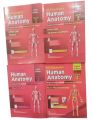 Bd Chaurasia's Handbook of General Anatomy Volume 1,2,3 & 4- Medical Book. 