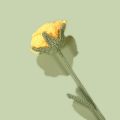 Diy Rose Bouquet Vibrant Faux Rose Crochet Long Stem for Wedding Centerpieces Gifts Southeast Asian Buyers' Favorite Rose Flower Centerpiece. 
